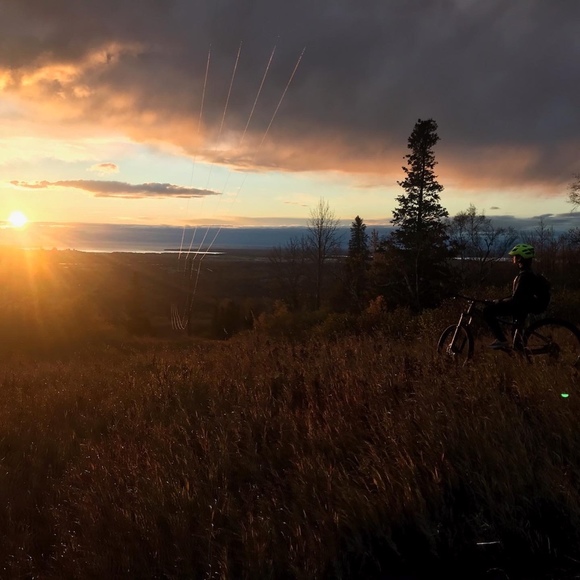 Meet your Posher, Gunner - Picture 1 of 1